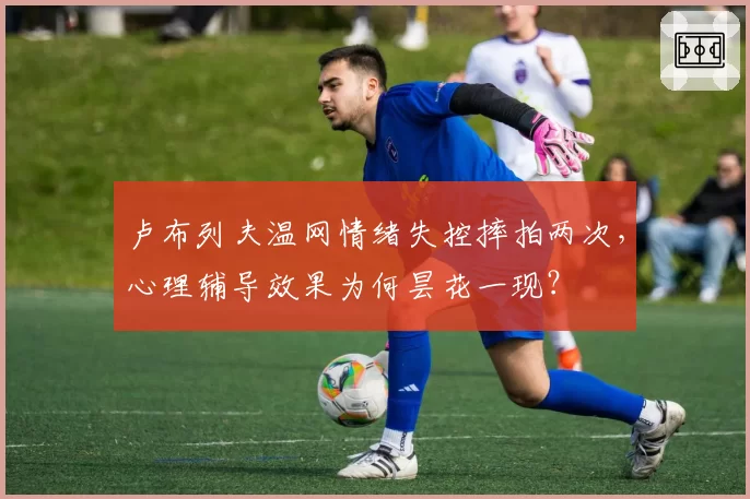 卢布列夫温网情绪失控摔拍两次，心理辅导效果为何昙花一现？