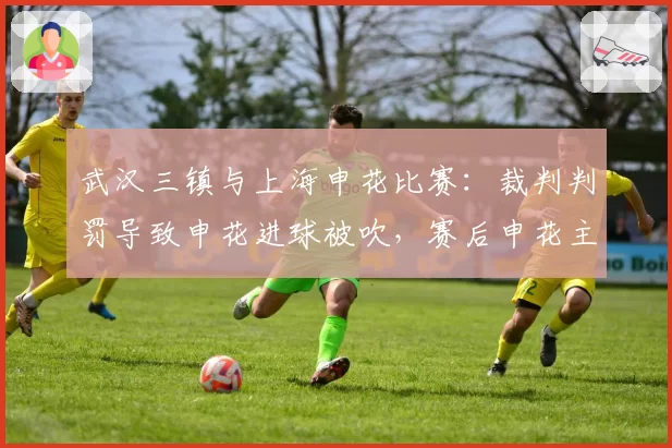 武汉三镇与上海申花比赛：裁判判罚导致申花进球被吹，赛后申花主帅公开批评裁判业务能力